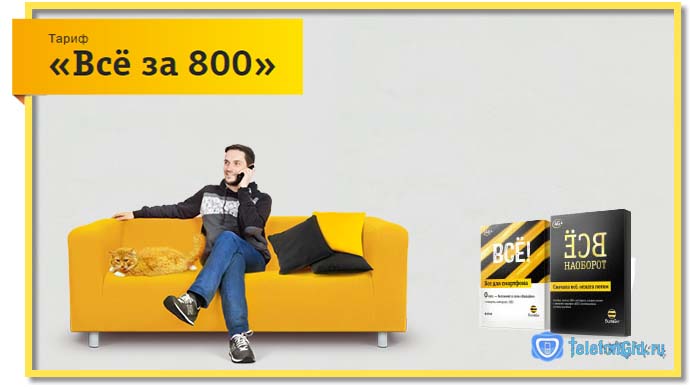 Относитесь к числу требовательных абонентов? Тариф Билайн «Всё за 800» станет для вас отличным решением.